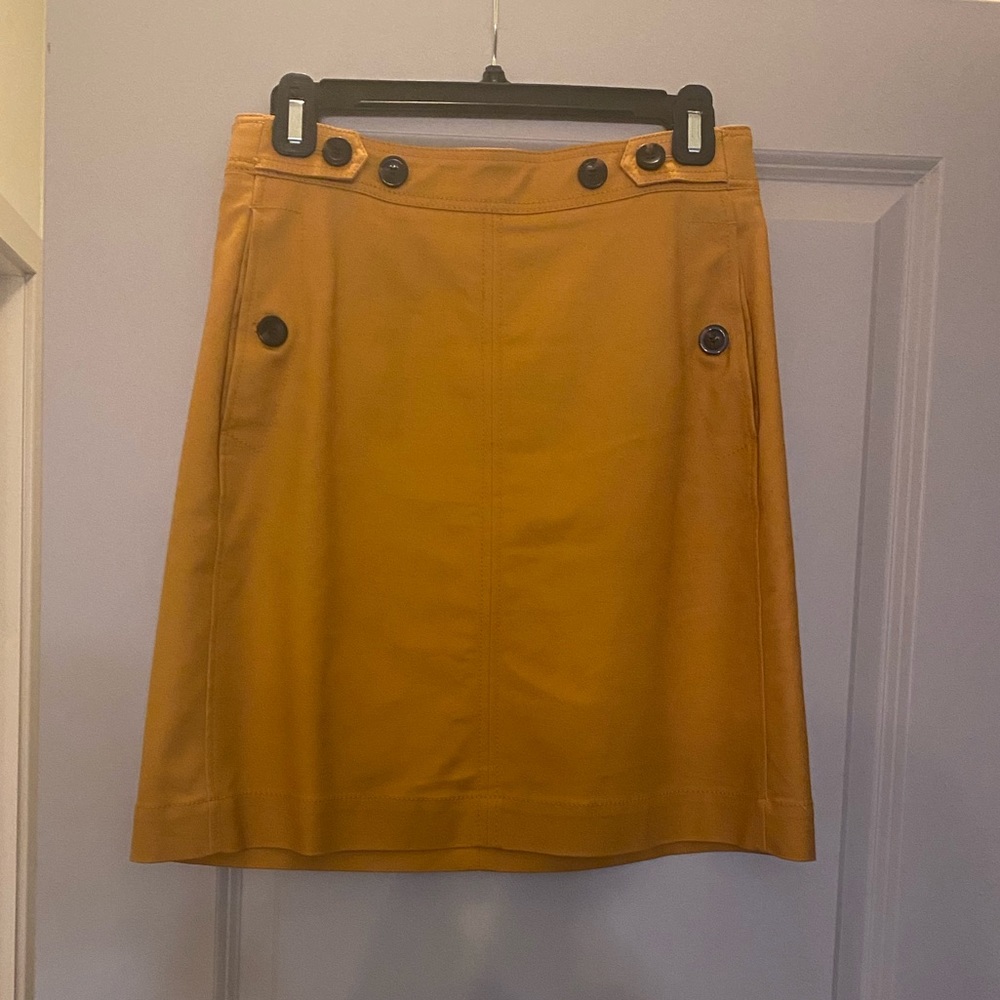Ann Taylor Mini Skirt